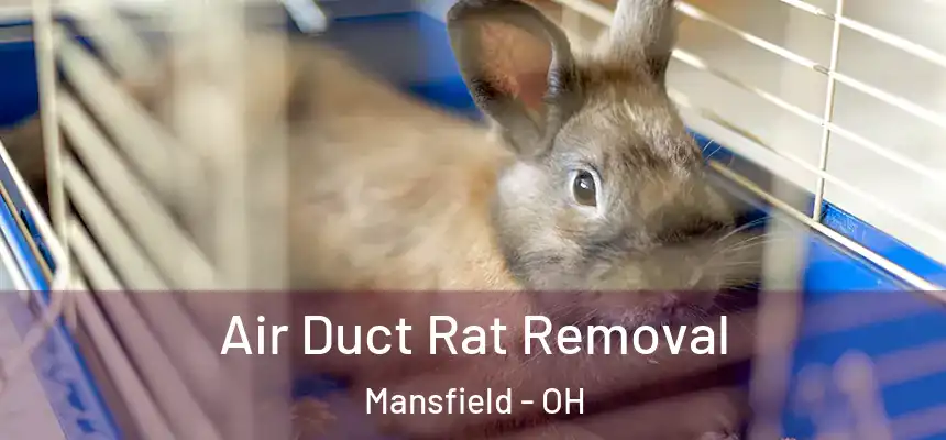  Air Duct Rat Removal Mansfield - OH