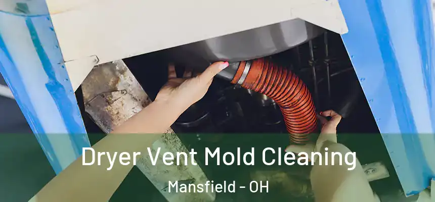  Dryer Vent Mold Cleaning Mansfield - OH