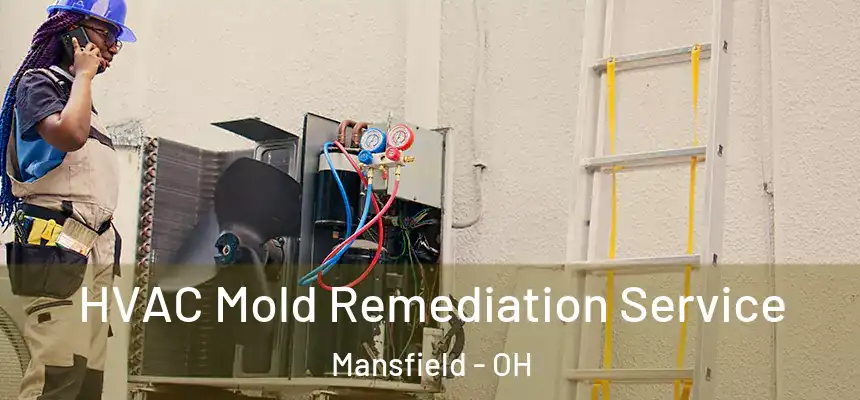  HVAC Mold Remediation Service Mansfield - OH