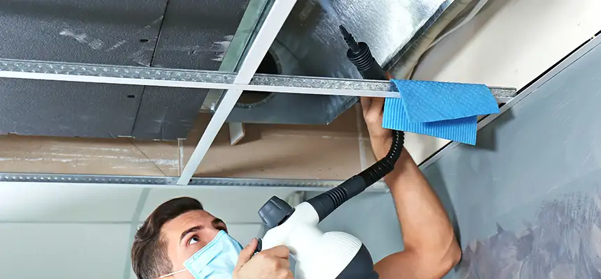 Our Air Duct Rodent Removal Services in Mansfield, OH