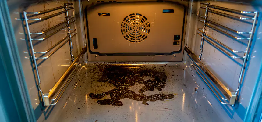 Our Dryer Vent Mold Cleaning Services in Mansfield, OH