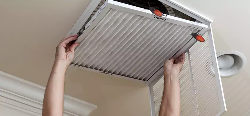 Our Insect Removal from Air Ducts Services in Mansfield, OH
