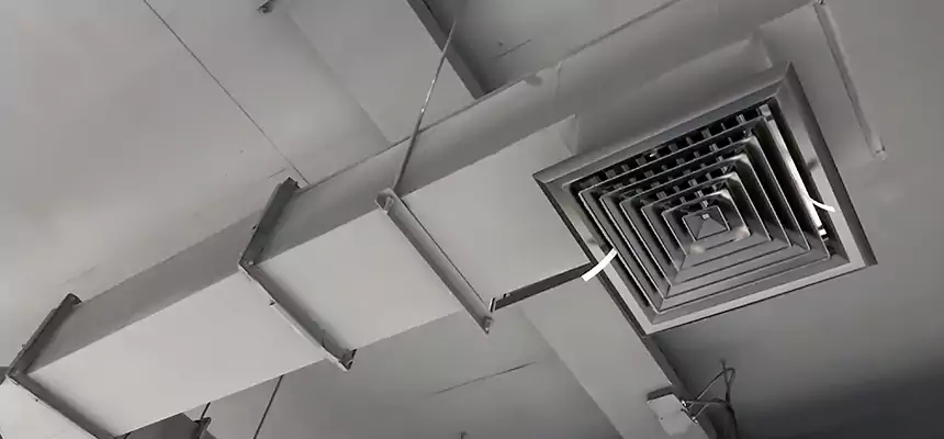 Our Rodent Droppings In Vents Services in Mansfield, OH