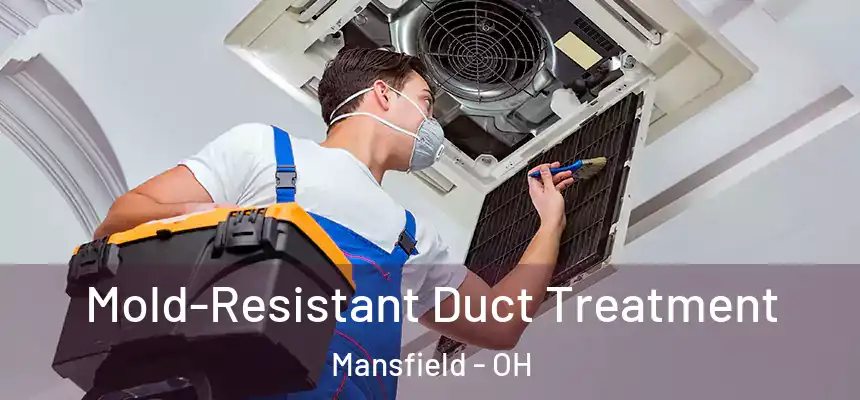  Mold-Resistant Duct Treatment Mansfield - OH