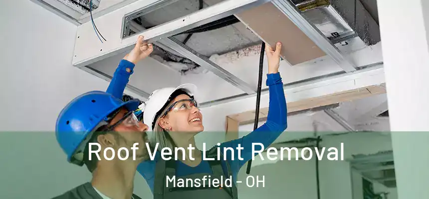  Roof Vent Lint Removal Mansfield - OH