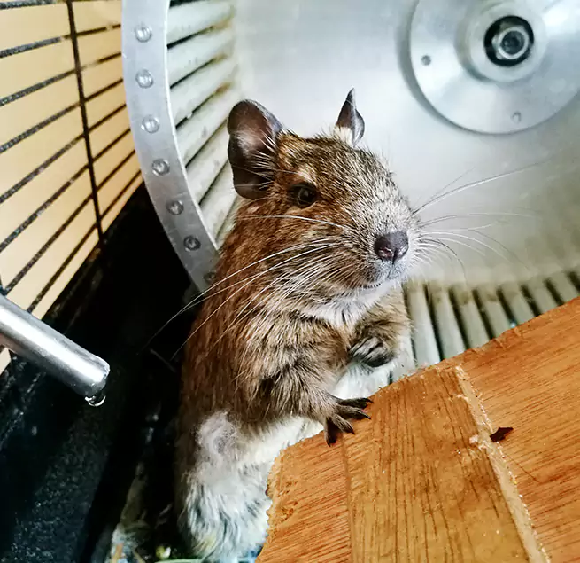 Why Homeowners & Businesses Trust Us Mansfield, OH